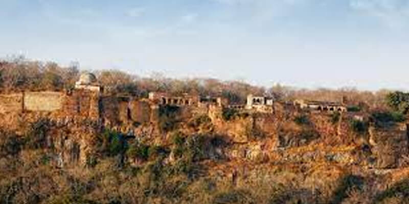 Travel Agency In Sawai Madhopur